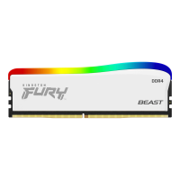 Kingston Fury Beast RGB Special Edition 2.png