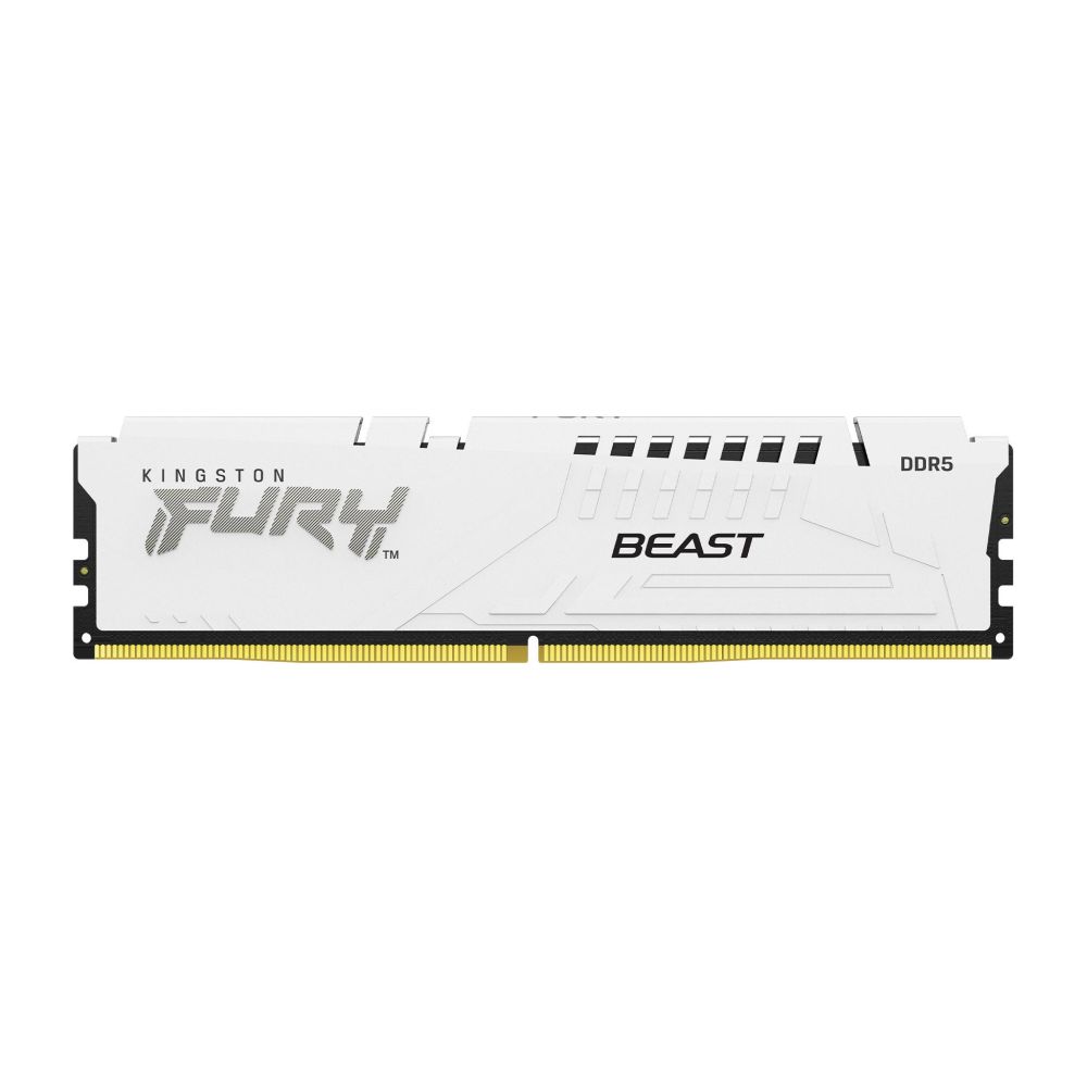 FURY-Beast-White-DDR5-2-zm-lg.jpg