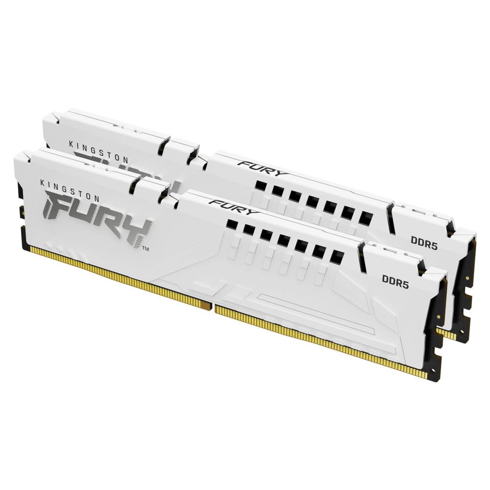 FURY-Beast-White-DDR5-2-angle-zm-lg.jpg