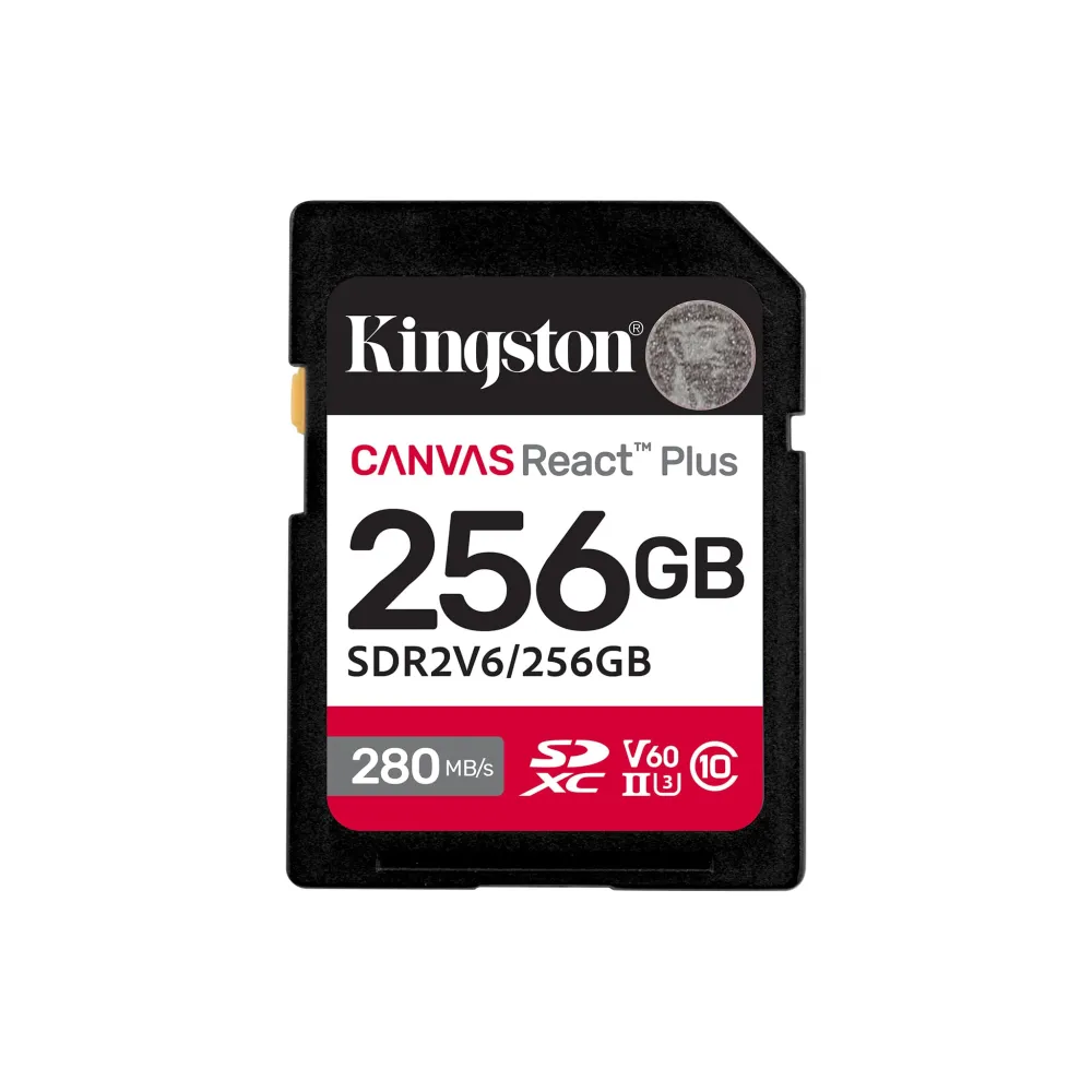 SDR2V6-256GB-zm-lg.png