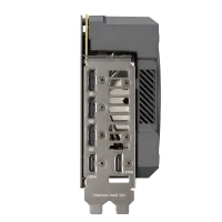w800 -2-.png