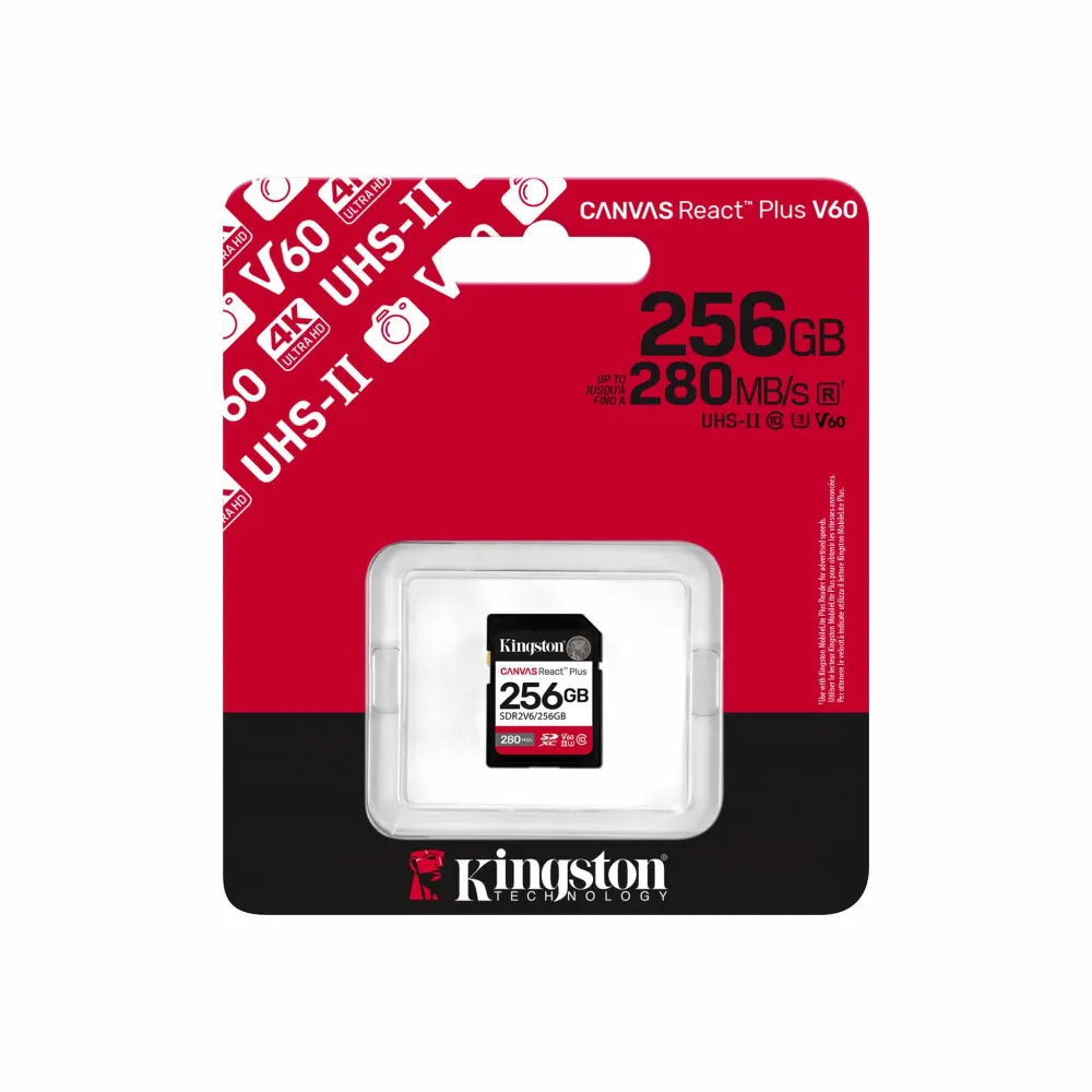 SDR2V6-256GB-pkg-zm-lg.png