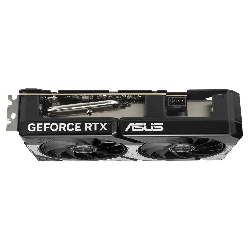 w800 -4-.png