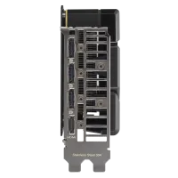 w800 -5-.png