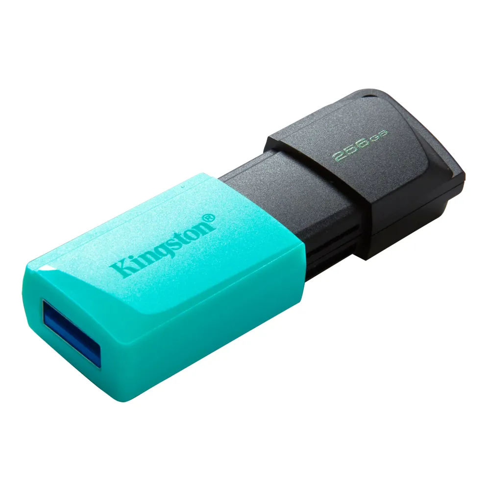 DTXM-256GB-angle-zm-lg.png