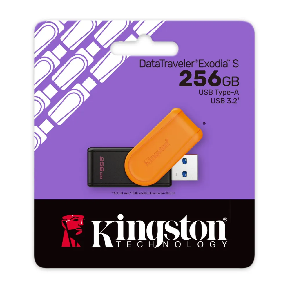 DTXS-256GB-pkg-zm-lg.png
