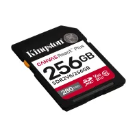 SDR2V6-256GB-angle-zm-lg.png
