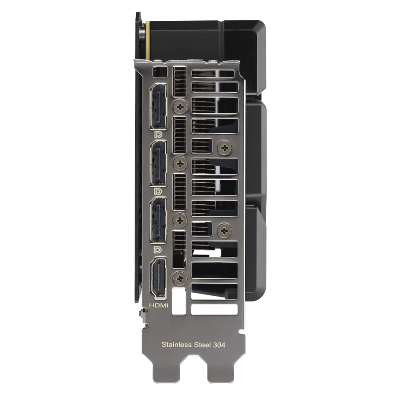 w800 -5-.png