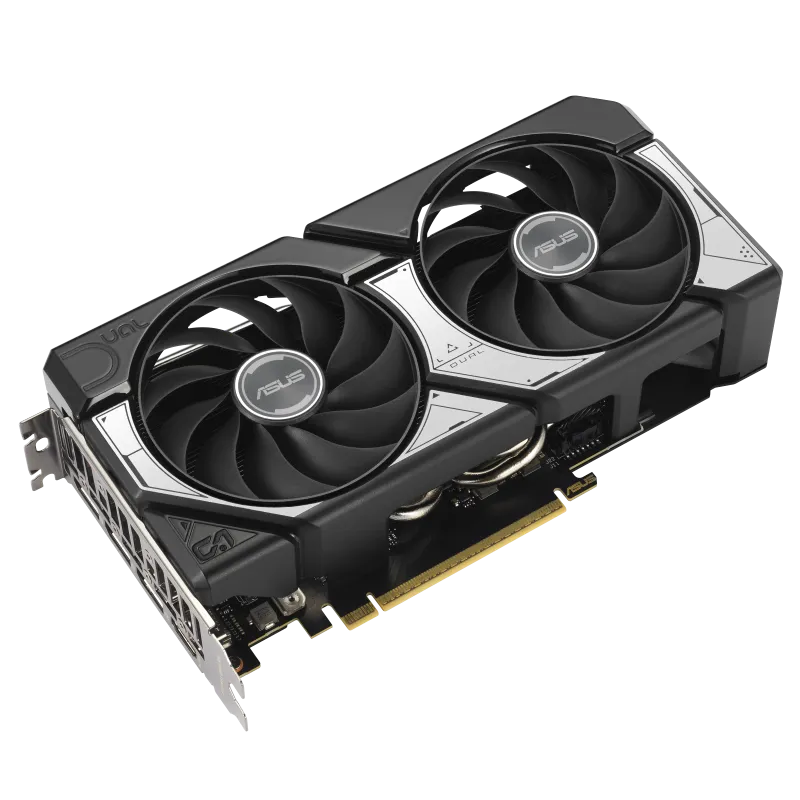 w800 -2-.png