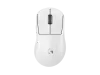 pro-x-superlight-2-dex-white-gal.png