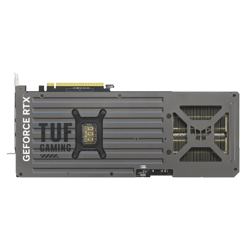 w800 -1-.png
