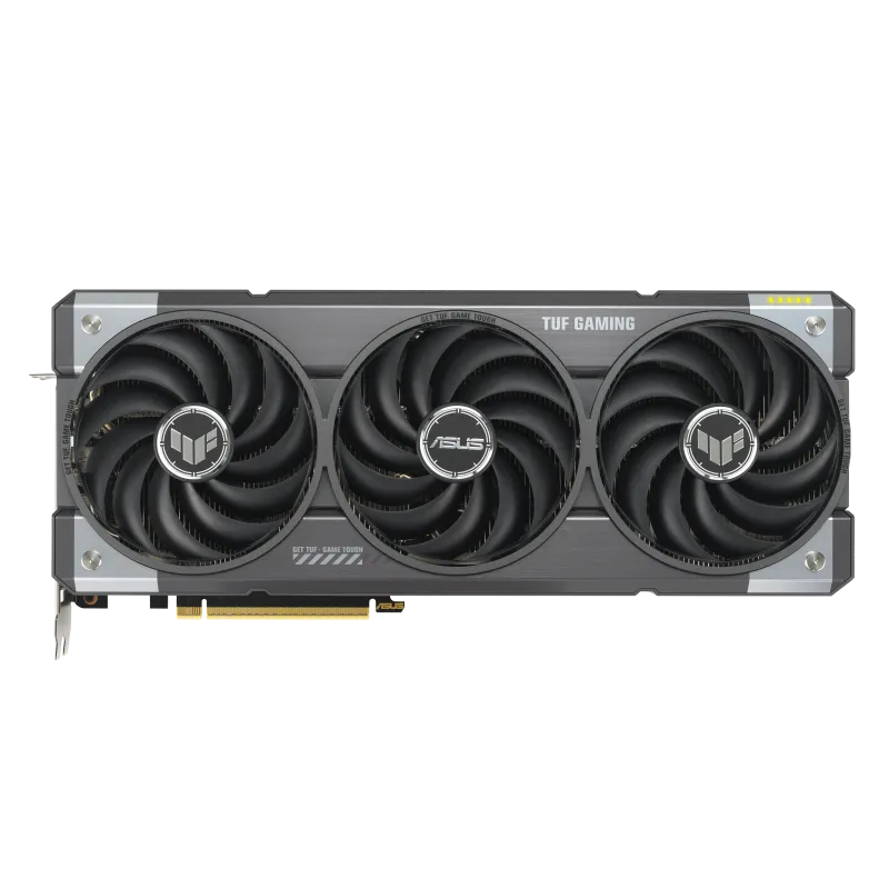 w800 -4-.png