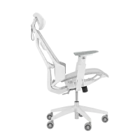 3293-3.png